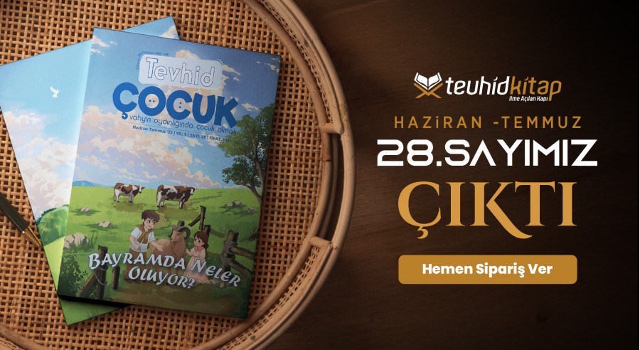 28. sayı