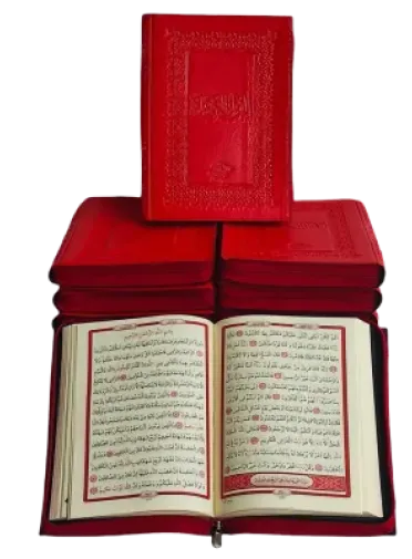 Kur'anı Kerim (Çanta Boy - Fermuarlı Plastik Kılıflı)